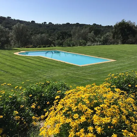 Casa Do Alfaro * ازامبوجا